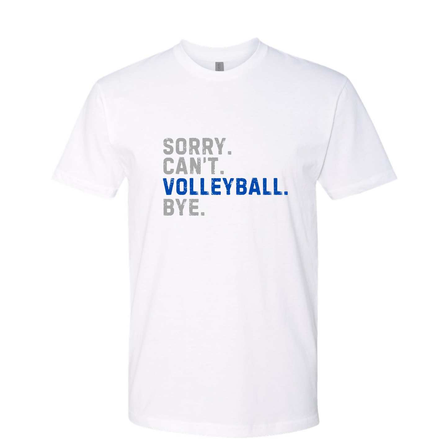 Sorry. Can't. Volleyball. Bye. Gray and Blue