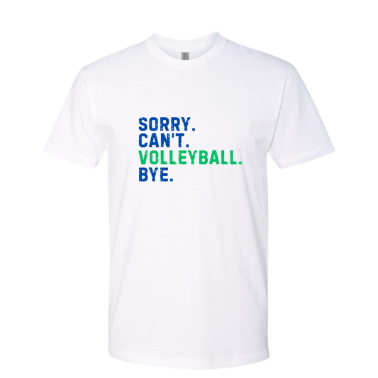 Sorry. Can't. Volleyball. Bye.  Blue and Green