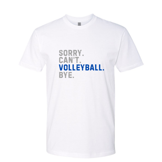 Sorry. Can't. Volleyball. Bye. Gray and Blue